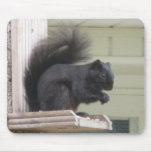 Black Squirrel Mouse Pad