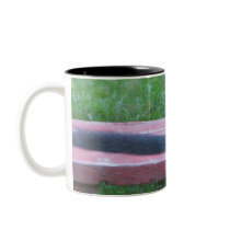 Black Squirrel Mugs