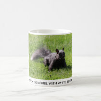 BLACK SQUIRREL WITH WHITE TIP TAIL mugs