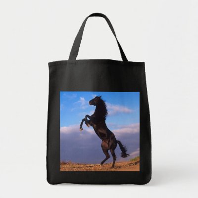 Black Stallion Bags