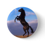 Black Stallion Pinback Button