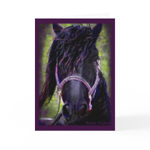 Black Stallion Card