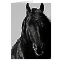 Black Stallion cards by laureenr Black Stallion cards