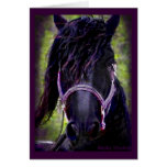 Black Stallion Card