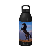 Black Stallion Drinking Bottle
