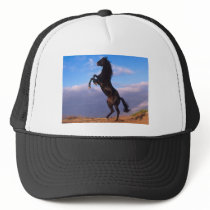 Black Stallion Trucker Hats