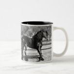Black stallion horse mugs