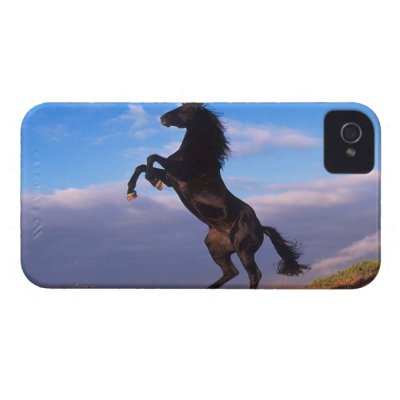 Black Stallion iPhone 4 Case-Mate Case
