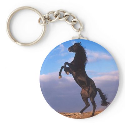 Black Stallion keychains