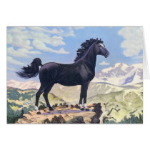Black Stallion King Of The Rockies cards