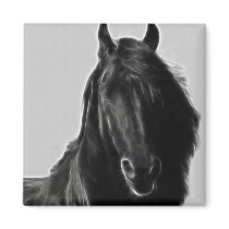 Black Stallion magnets by laureenr Black Stallion magnets