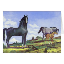 Black Stallion, Mare and Colt cards