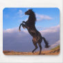 Black Stallion Mouse Pad Black Stallion Mouse Pad