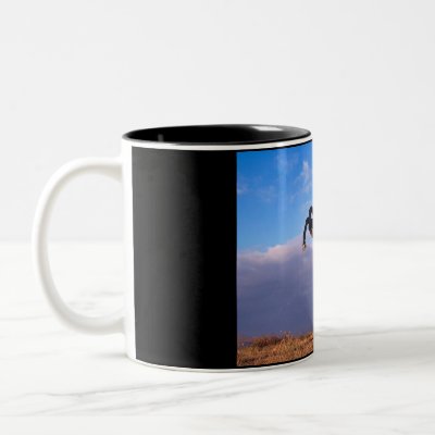 Black Stallion Coffee Mug