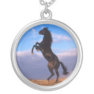 Black Stallion necklace