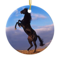 Black Stallion Christmas Ornaments