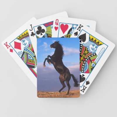 Black Stallion Playing Cards