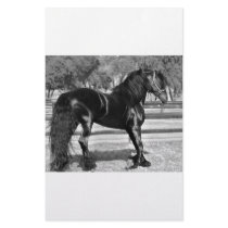 Black Stallion stationery by laureenr Black Stallion stationery