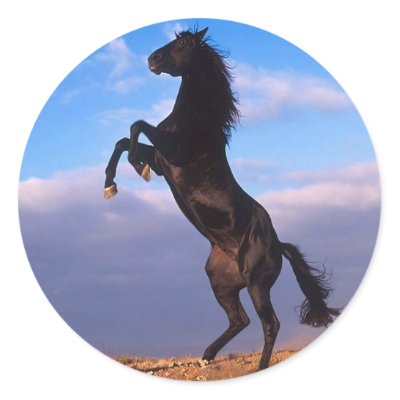 Black Stallion Round Sticker