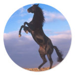 Black Stallion Round Sticker