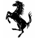 Black Stallion t-shirts