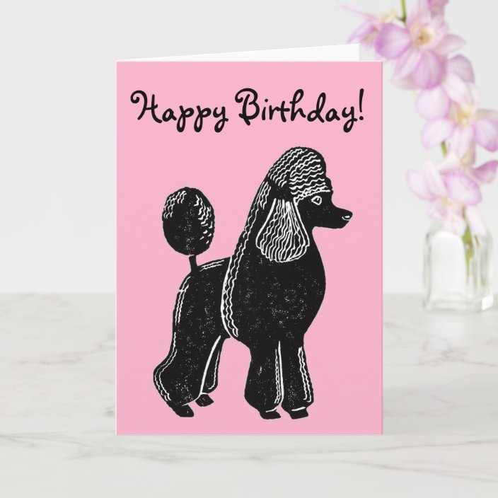 Black Standard Poodle Pink Happy Birthday Card Zazzle