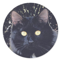 Black Star Cat Eyes Sticker