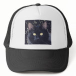 Black Star Cat