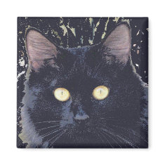 Black Star Cat magnet