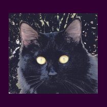 Black Star Cat t-shirts
