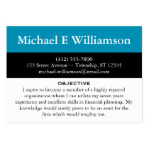 Black Stripe Blue RESUME Business Cards business cards
