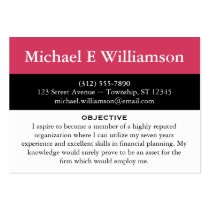 Black Stripe Dark Pink RESUME Business Cards business cards