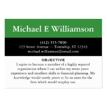 Black Stripe Green RESUME Business Cards business cards