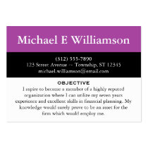 Black Stripe Purple RESUME Business Cards business cards