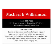 Black Stripe Red RESUME Business Cards business cards