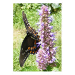 Black Swallowtail 61 ~ ATC Business Card
