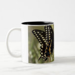 Black Swallowtail Butterfly Coffee Cup Coffee Mug