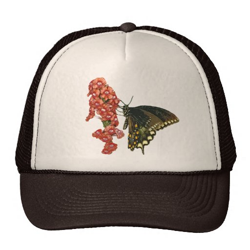 Black Swallowtail Butterfly Hat