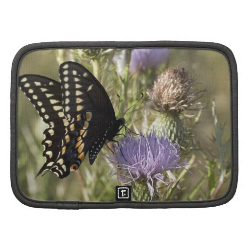 Black Swallowtail Butterfly Wallet Folio Planners