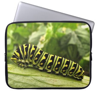 Black Swallowtail Caterpillar Computer Sleeve