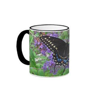 Black Swallowtail ~ mug mug