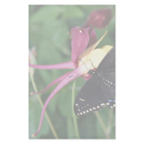 Black swallowtail on columbine flower, Ontario, Ca Customized Stationery