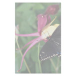 Black swallowtail on columbine flower, Ontario, Ca Customized Stationery