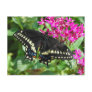 Black Swallowtail Postcard