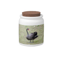 black swan_12x9 candy jars