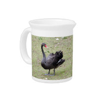 black swan_12x9 pitchers