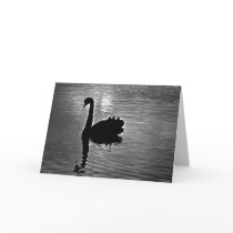 Black Swan - Australian Native Animal Cards