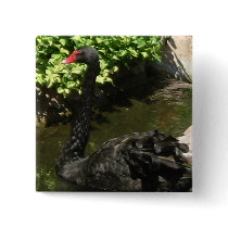 Black Swan Close-up buttons by Incatneato Black Swan Close-up buttons