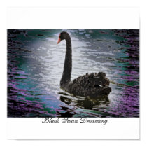 Black Swan Dreaming-Poster posters by SGImages Black Swan Dreaming-Poster posters
