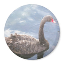 Black Swan Magnet